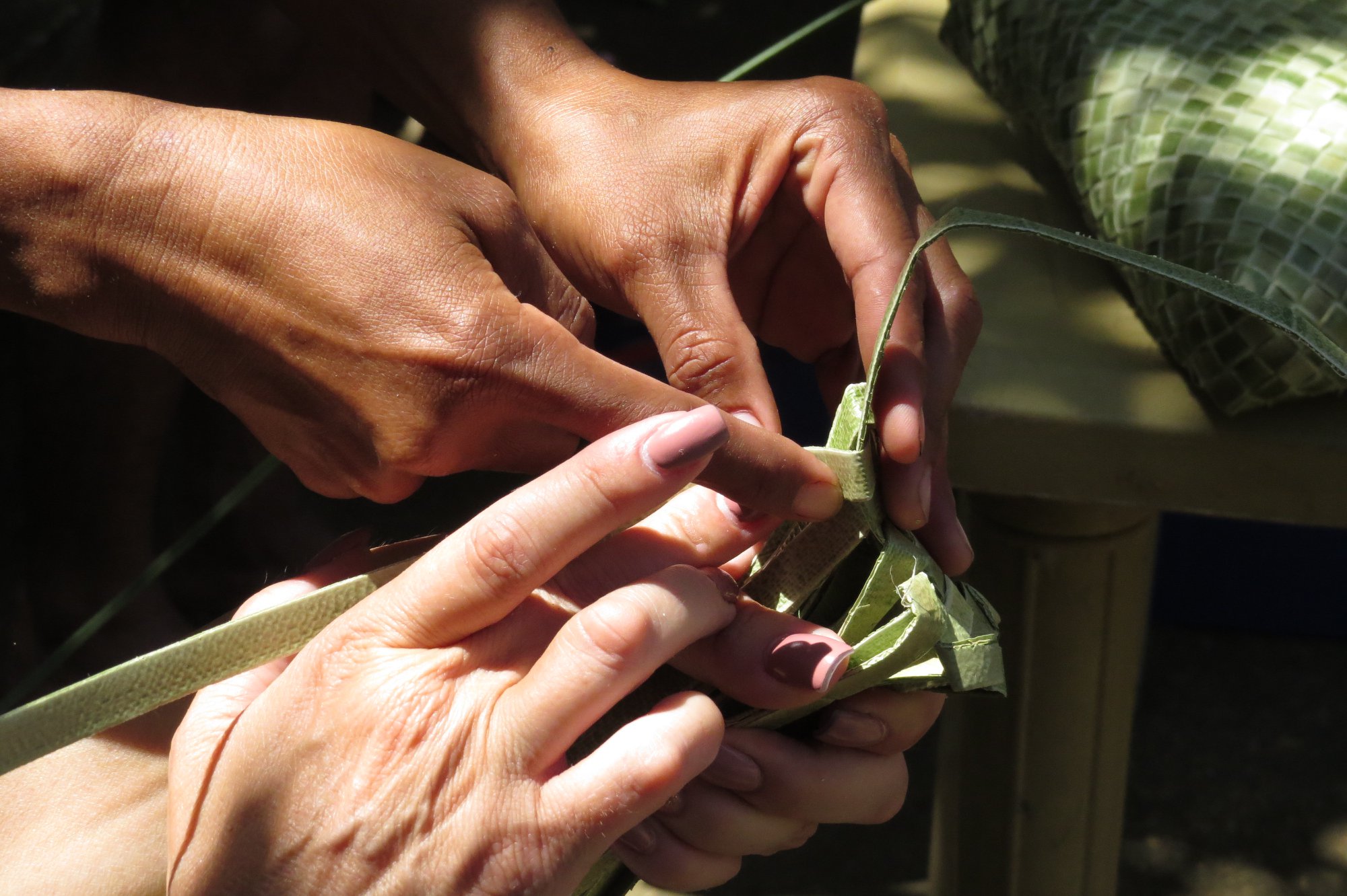 Learn to Cook Native Treats